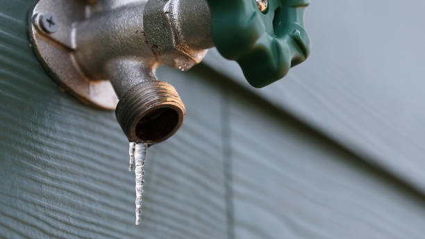 Best Plumbing Inspection Services  in Bosque Farms, NM
